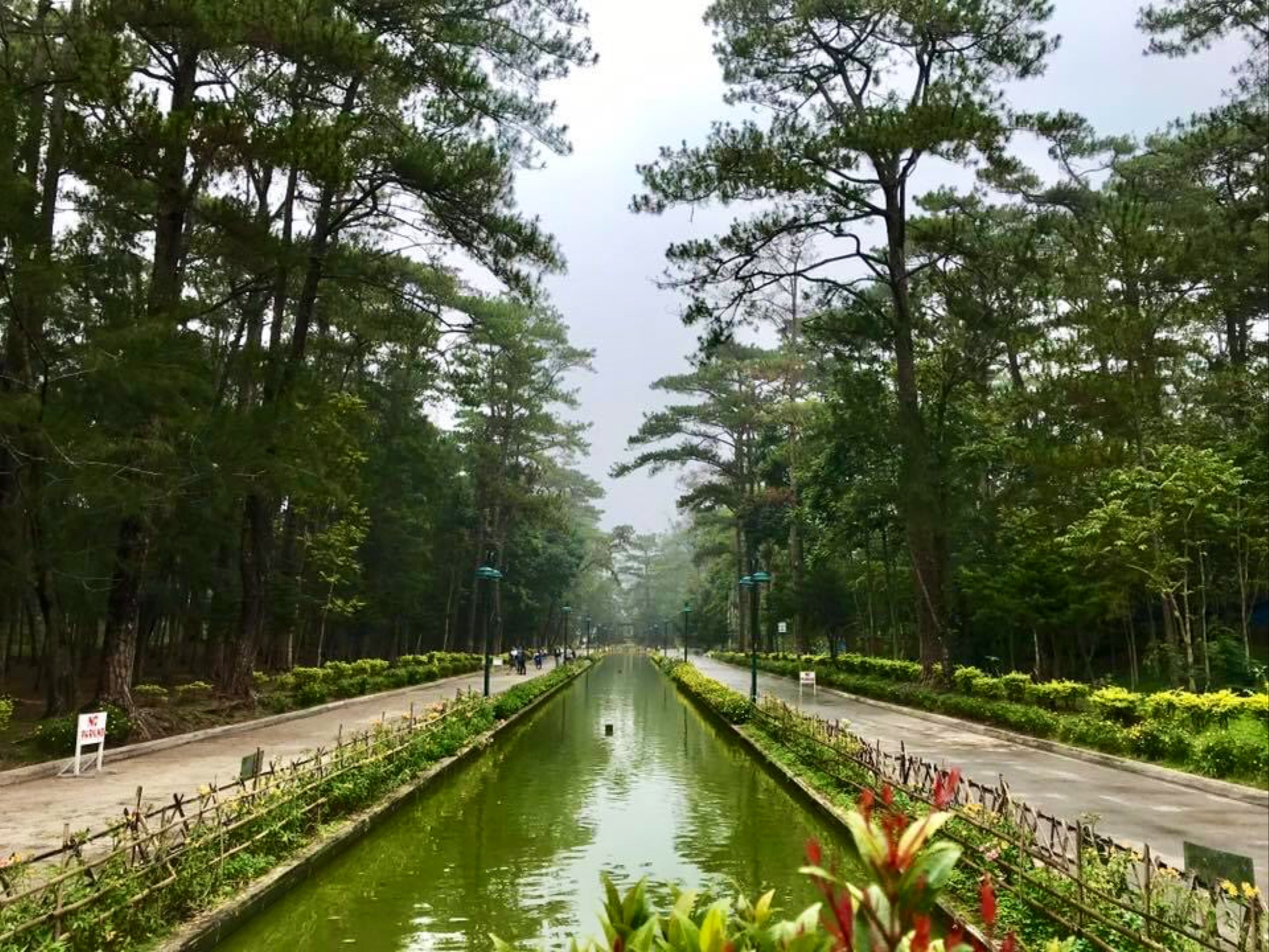 Wright Park Baguio, kasama ang Luneta ng mga Pino na sumasalamin sa matatayog na punong pino ng Benguet, na napapalibutan ng gumugulong na kagubatan sa kabundukan