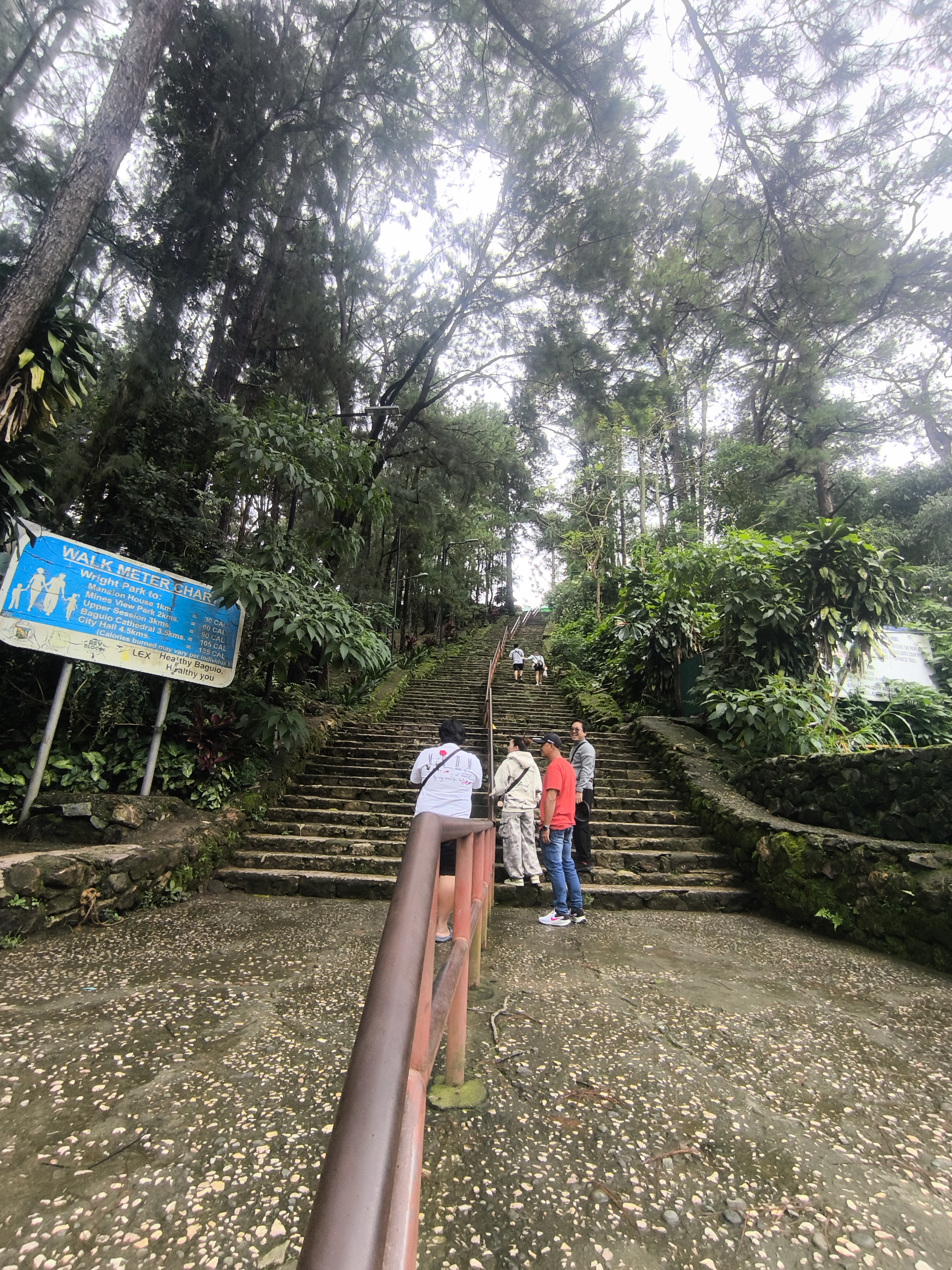Tanawin mula sa himpapawid ng Lungsod ng Baguio na nagpapakita ng talampas na puno ng pino sa paligid ng Wright Park