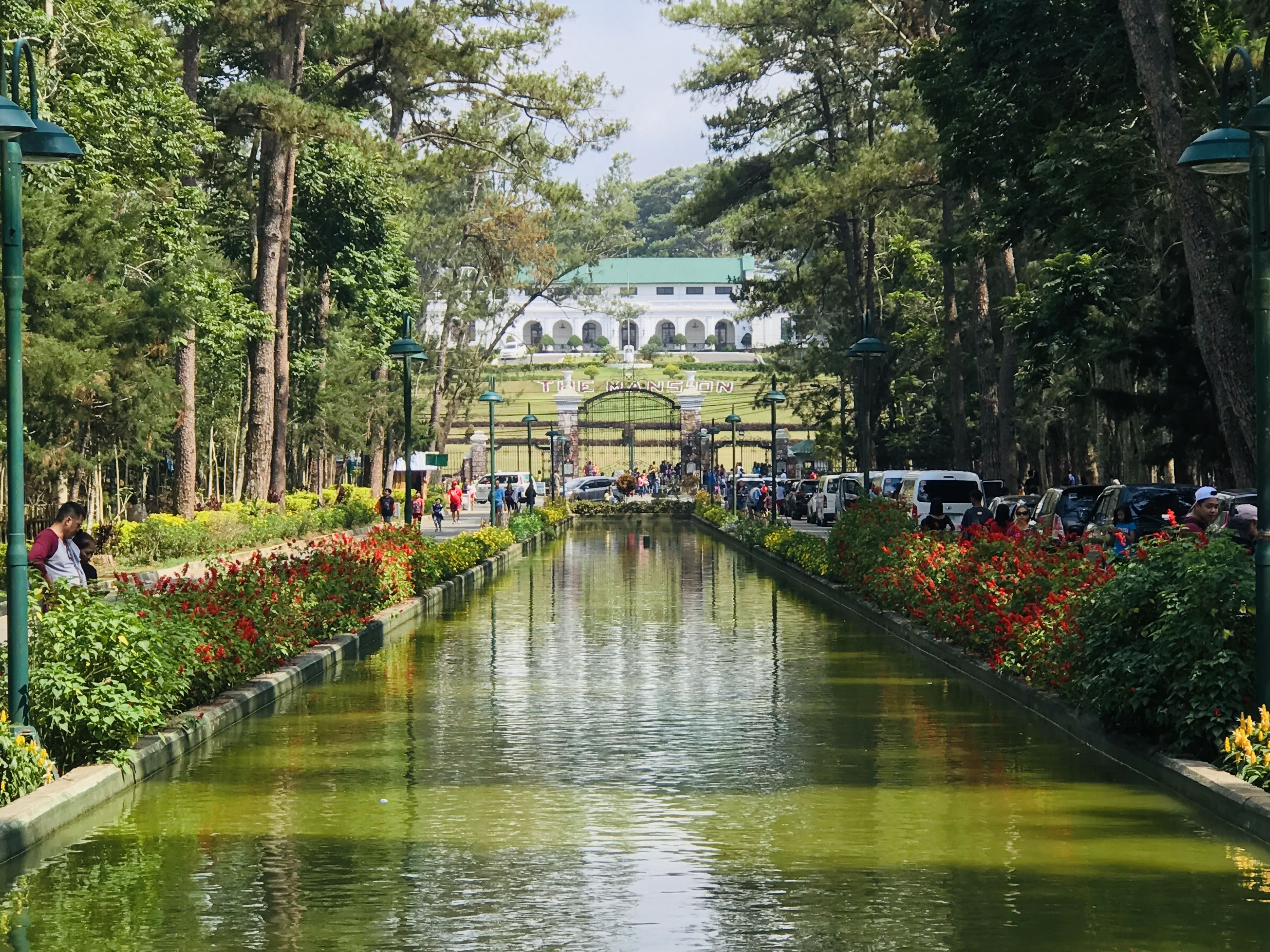 Mga bunga at karayom ng pino ng Baguio na nakolekta sa kahabaan ng landas ng kagubatan ng Wright Park
