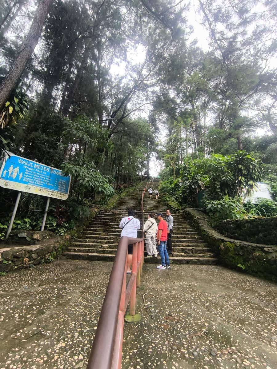 Tanawin mula sa himpapawid ng Lungsod ng Baguio na nagpapakita ng talampas na puno ng pino sa paligid ng Wright Park